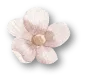 Flower 4